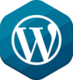 wordpress advanced custom themes